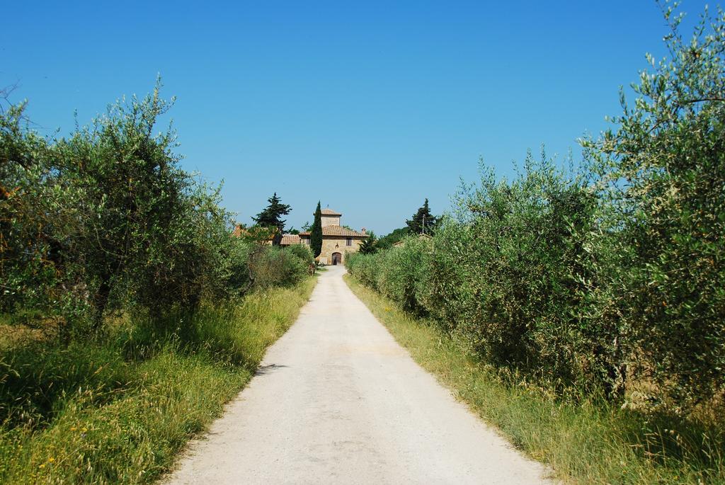 B&B Le Querciole Del Chianti Barberino di Val dʼElsa Exteriör bild